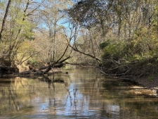 Listing Image #3 - Land for sale at 16475 Georgia 16, Monticello GA 31064