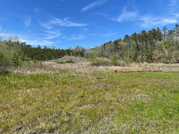 Listing Image #2 - Land for sale at Park Ave Avenue, Hot Springs AR 71901