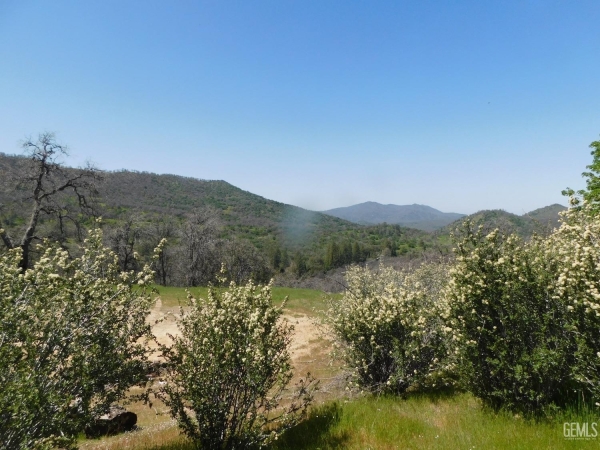Listing Image #1 - Land for sale at Old Stage Road, POSEY CA 93260