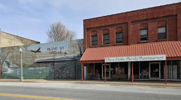 Listing Image #2 - Others for sale at 15 East Olive Street, Aurora MO 65605