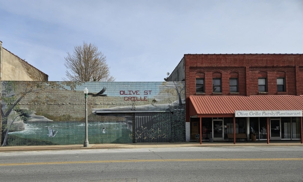 Listing Image #3 - Others for sale at 15 East Olive Street, Aurora MO 65605