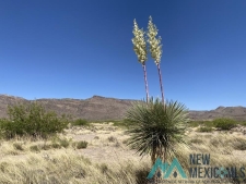 Land property for sale in Rodeo, NM