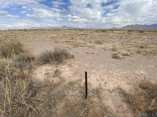 Listing Image #2 - Land for sale at Hummingbird Rd Lot 357, Rodeo NM 88056