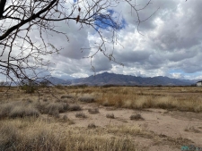 Listing Image #1 - Land for sale at Hummingbird Rd Lot 357, Rodeo NM 88056