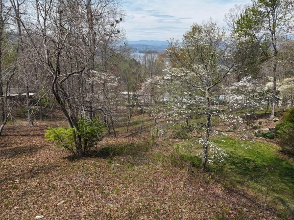 Listing Image #2 - Land for sale at Lot 12 Chatuge Cove Drive, Hayesville NC 28904