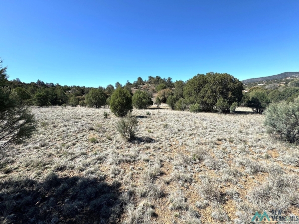 Listing Image #2 - Land for sale at XX Blackhawk Rd, Silver City NM 88061