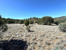 Listing Image #2 - Land for sale at XX Blackhawk Rd, Silver City NM 88061