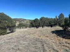 Listing Image #3 - Land for sale at XX Blackhawk Rd, Silver City NM 88061