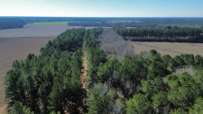 Listing Image #2 - Land for sale at 3885 Bacon Hill Road, Pinewood SC 29125
