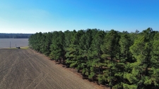 Listing Image #3 - Land for sale at 3885 Bacon Hill Road, Pinewood SC 29125