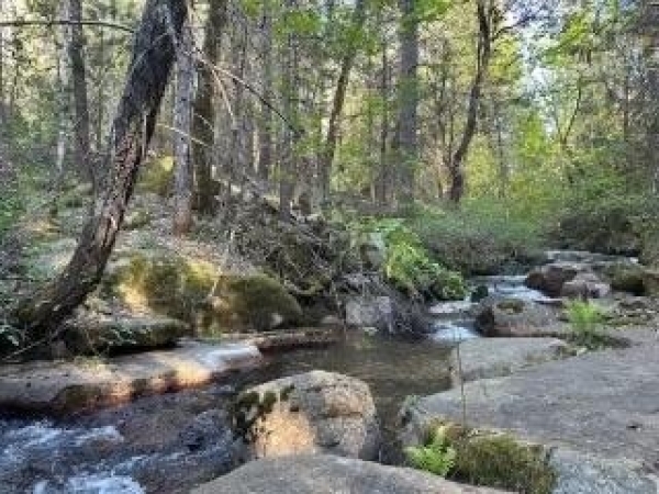 Listing Image #1 - Land for sale at 11945 Rocker Road, Nevada City CA 95959