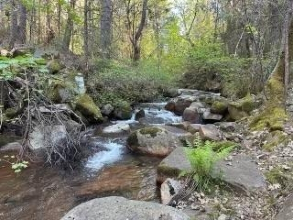 Listing Image #2 - Land for sale at 11945 Rocker Road, Nevada City CA 95959