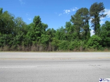 Others property for sale in Darlington, SC
