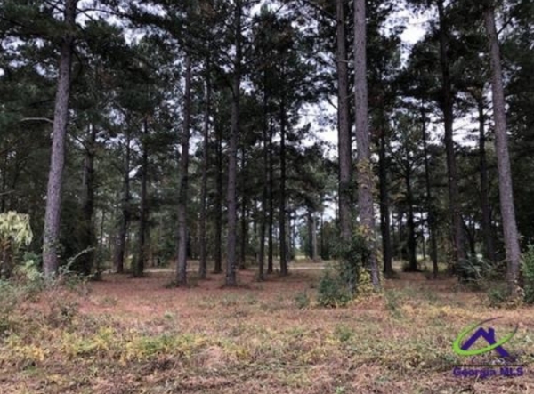 Listing Image #3 - Land for sale at 50+ Lots Wood Oak Subdivision, Cochran GA 31014