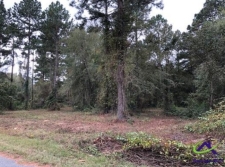 Listing Image #1 - Land for sale at 50+ Lots Wood Oak Subdivision, Cochran GA 31014