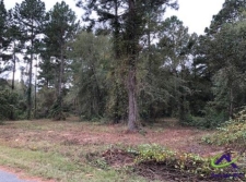 Land for sale in Cochran, GA