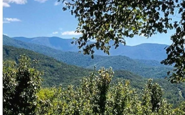 Listing Image #1 - Land for sale at #50 Harris Ridge Road, Young Harris GA 30582