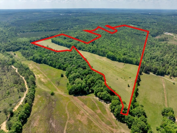 Listing Image #1 - Land for sale at 243 Lafayette Road, Cusseta GA 31805