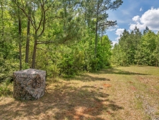 Listing Image #3 - Land for sale at 243 Lafayette Road, Cusseta GA 31805