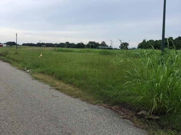 Listing Image #2 - Land for sale at 600 Corporate Boulevard, Breaux_bridge LA 70517
