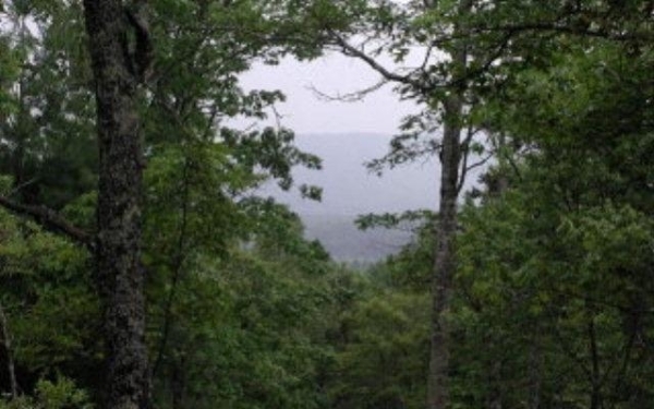 Listing Image #1 - Land for sale at 19D&E Braves Landing, Murphy NC 28906