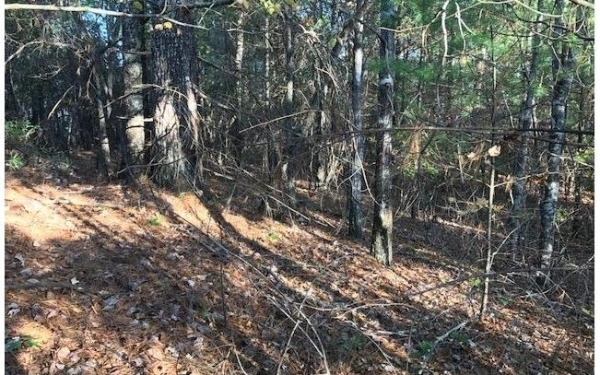 Listing Image #2 - Land for sale at 19D&E Braves Landing, Murphy NC 28906