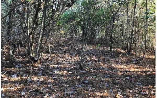 Listing Image #3 - Land for sale at 19D&E Braves Landing, Murphy NC 28906