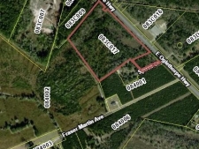 Land property for sale in Flemington, GA