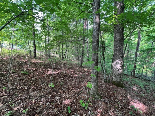 Listing Image #1 - Land for sale at 9 + Acre Leonard Lane, Murphy NC 28906
