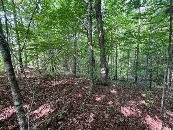 Listing Image #2 - Land for sale at 9 + Acre Leonard Lane, Murphy NC 28906