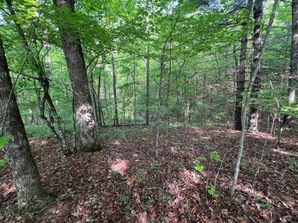 Listing Image #3 - Land for sale at 9 + Acre Leonard Lane, Murphy NC 28906