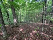 Listing Image #3 - Land for sale at 9 + Acre Leonard Lane, Murphy NC 28906