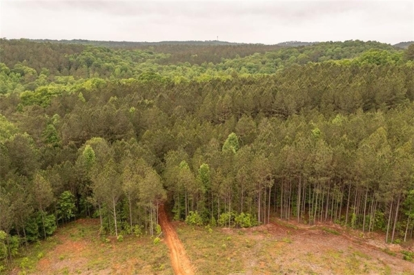 Listing Image #1 - Others for sale at 00 Hidden Creek Road, Talking Rock GA 30175