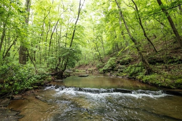 Listing Image #3 - Others for sale at 00 Hidden Creek Road, Talking Rock GA 30175