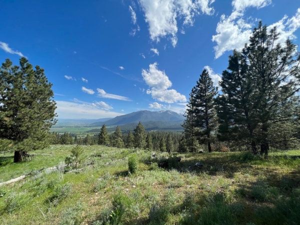 Listing Image #2 - Land for sale at Foothill Road, Haines OR 97833