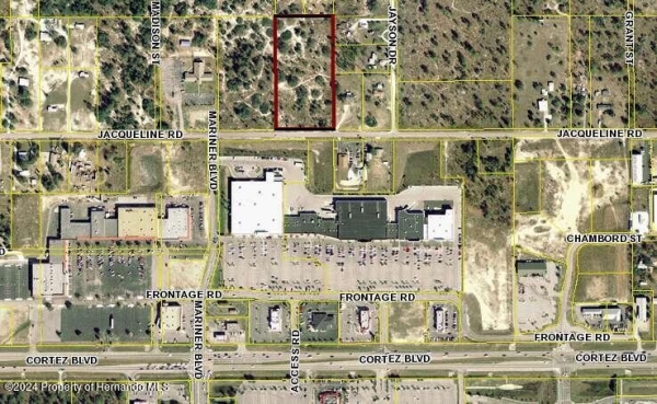 Listing Image #3 - Land for sale at 13131 Jacqueline Road, Brooksville FL 34613