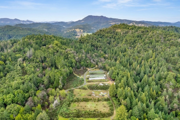 Listing Image #3 - Land for sale at 3167 Redwood Drive, Redway CA 95560
