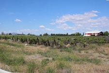 Listing Image #3 - Land for sale at Windmill Road, Richland WA 99352
