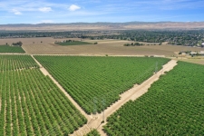 Listing Image #3 - Land for sale at 8454 W 11th Street, Tracy CA 95304