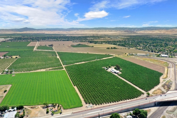 Listing Image #3 - Land for sale at 24759 S Chrisman Road, Tracy CA 95304 Listing Image #3 - Land for sale at 24759 S Chrisman Road, Tracy CA 95304