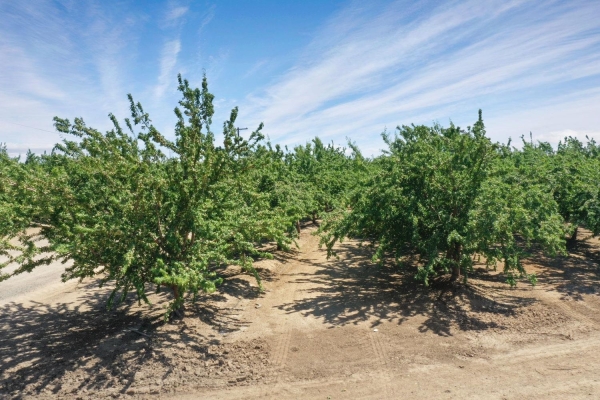 Listing Image #2 - Land for sale at 8300 W Eleventh Street, Tracy CA 95304