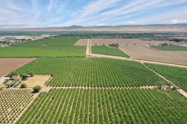 Listing Image #3 - Land for sale at 8300 W Eleventh Street, Tracy CA 95304