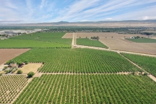 Listing Image #3 - Land for sale at 8300 W Eleventh Street, Tracy CA 95304