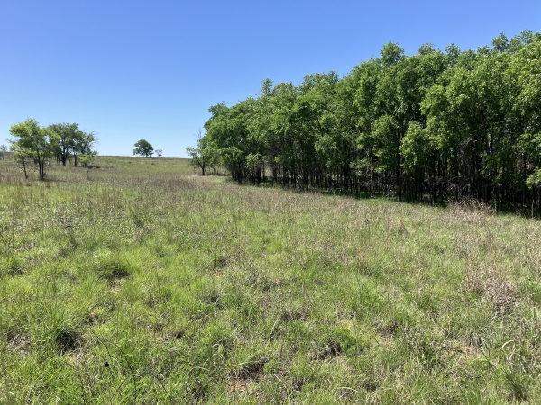 Listing Image #1 - Land for sale at Barker Ranch South, Shamrock TX 79079