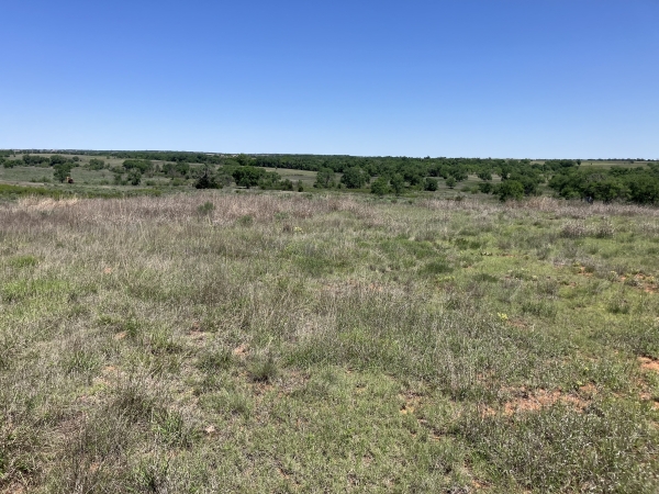 Listing Image #3 - Land for sale at Barker Ranch South, Shamrock TX 79079
