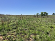 Listing Image #2 - Land for sale at Barker Ranch South, Shamrock TX 79079
