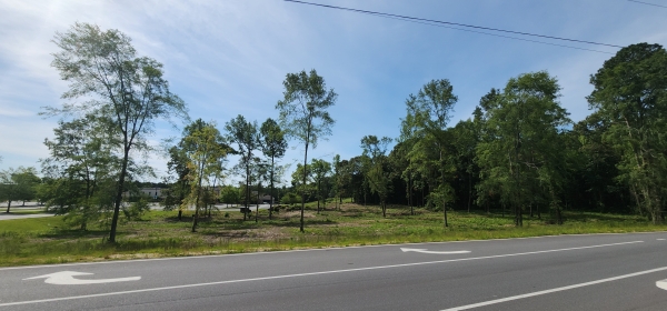 Listing Image #2 - Land for sale at 1413 Bass Road, Macon GA 31210