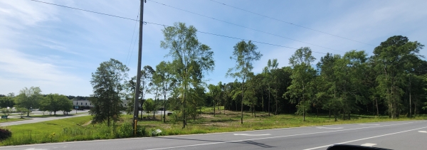 Listing Image #3 - Land for sale at 1413 Bass Road, Macon GA 31210