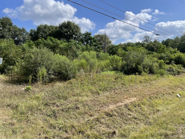 Listing Image #1 - Others for sale at 0 FM 2920, Hockley TX 77447