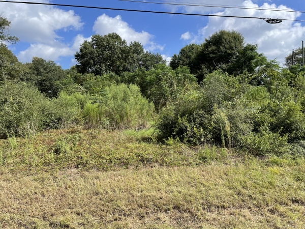 Listing Image #2 - Others for sale at 0 FM 2920, Hockley TX 77447